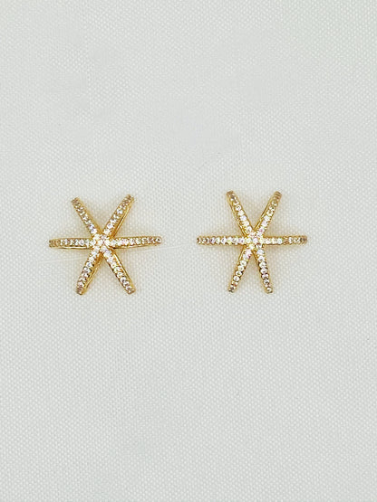 Star Shine Earrings